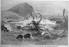 Alternative view 3 of Devilfish: When Giant Squid Ruled the Northern Sea