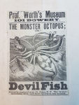 Alternative view 4 of Devilfish: When Giant Squid Ruled the Northern Sea