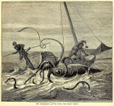 Alternative view 5 of Devilfish: When Giant Squid Ruled the Northern Sea