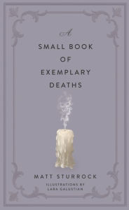 Title: A Small Book of Exemplary Deaths, Author: Matt Sturrock