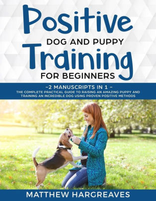 dog training for beginners