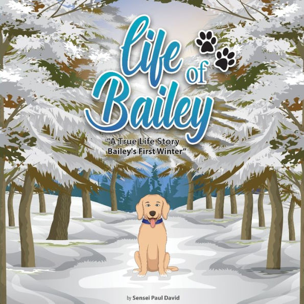 Life of Bailey: Bailey's First Winter