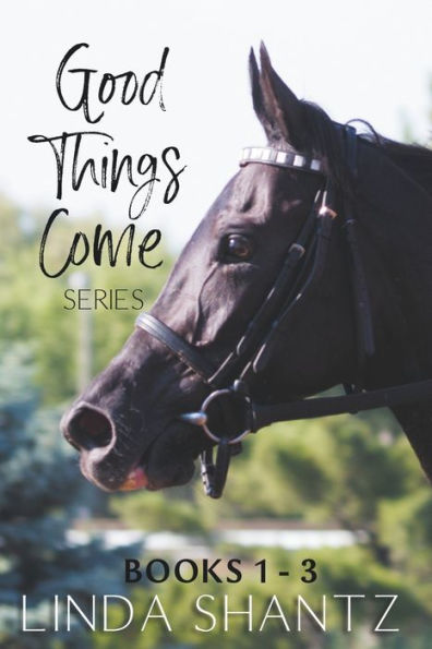 The Good Things Come Series: Books 1-3