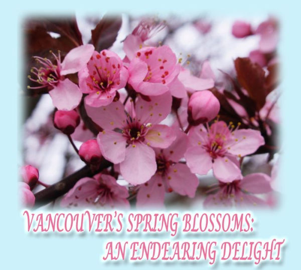 Vancouver's Spring Blossoms: An Endearing Delight