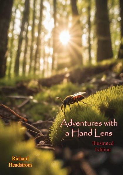 Adventures with a Hand Lens [Illustrated Edition]