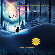 Title: It's Cold Outside!: The adventures of a smart and curious cat in the forest, Author: Belinda Chavremootoo