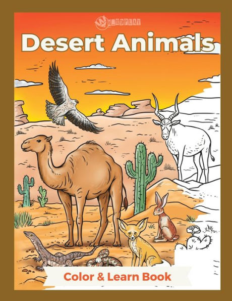 Desert Animals