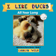 Title: I Like Ducks: All Year Long, Author: Carolyn Wild