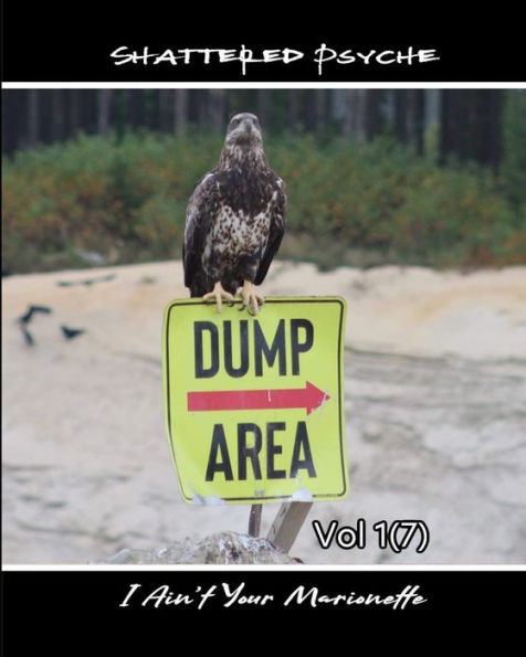 Shattered Psyche Vol 1(7)