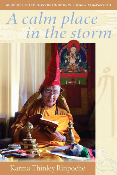 A Calm Place the Storm: Buddhist Teachings on Finding Wisdom and Compassion