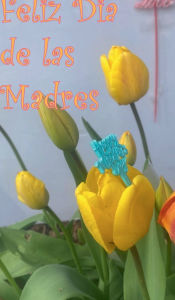Title: Feliz Dia De Las Madres, Author: Sidney Syona Singh