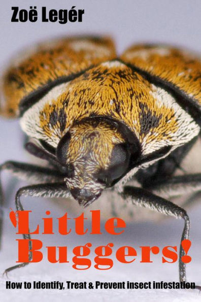 Little Buggers! How to identify, treat & prevent insect infestation