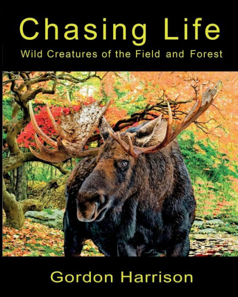 Chasing Life: Wild Creatures of the Field and Forest