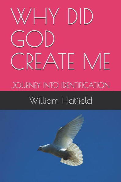 Why Did God Create Me: Journey Into Identification