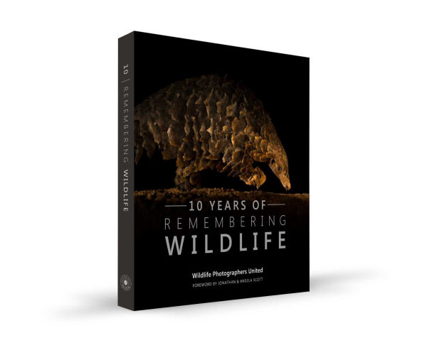 10 Years of Remembering Wildlife