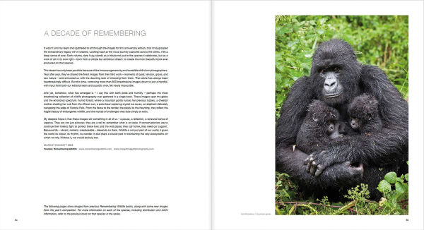 10 Years of Remembering Wildlife
