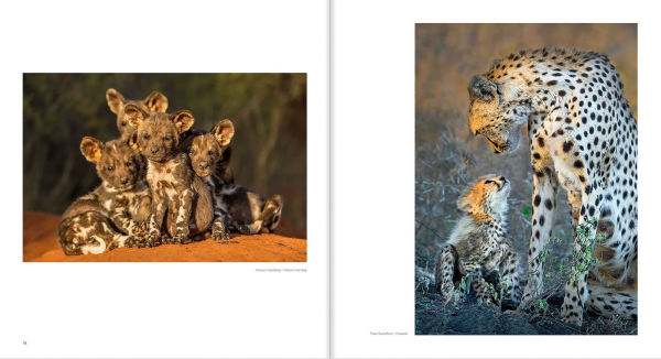 10 Years of Remembering Wildlife