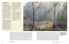 Alternative view 5 of The View from Federal Twist: A New Way of Thinking About Gardens, Nature and Ourselves