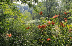 Alternative view 6 of The View from Federal Twist: A New Way of Thinking About Gardens, Nature and Ourselves