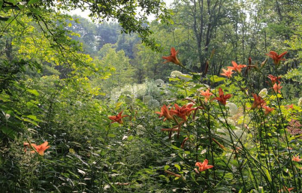 The View from Federal Twist: A New Way of Thinking About Gardens, Nature and Ourselves