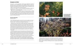 Alternative view 7 of The View from Federal Twist: A New Way of Thinking About Gardens, Nature and Ourselves