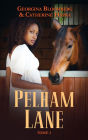 Pelham Lane - Tome 3: Tommi