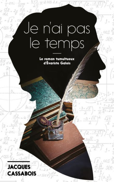 Je n'ai pas le temps: Le roman tumultueux d'Evariste Galois