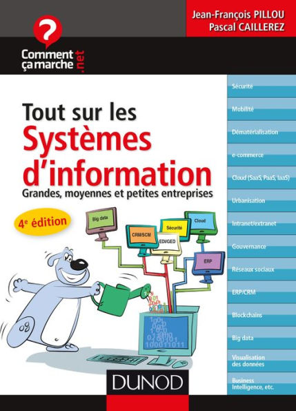 Tout sur les systèmes d'information - 4e éd.: Grandes, moyennes et petites entreprises