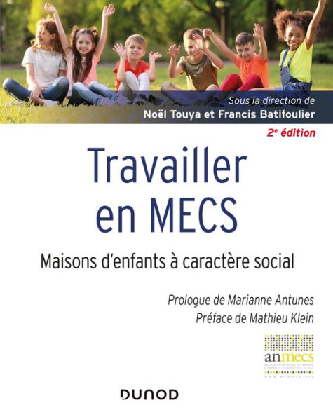 Travailler en MECS - 2e éd.: Maisons d'enfants à caractère social