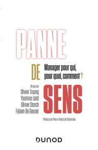 Title: Panne de sens: Manager pour qui, pour quoi, comment ?, Author: Olivier Truong