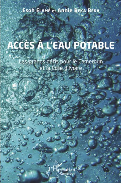 Accès à l'eau potable: Les grands défis pour le Cameroun et la Côte d'Ivoire