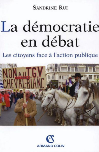 La démocratie en débat: Les citoyens face à l'action publique