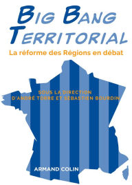 Title: Big Bang Territorial: La réforme des régions en débat, Author: André Torre