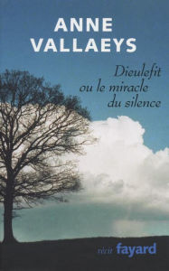 Title: Dieulefit ou le miracle du silence, Author: Anne Vallaeys