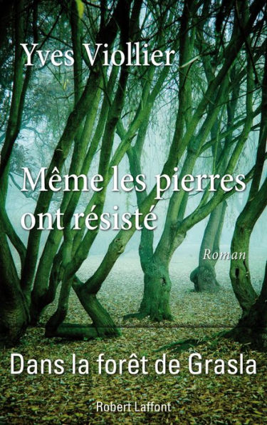 Même les pierres ont résisté