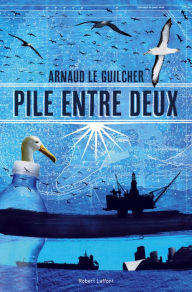 Title: Pile entre deux, Author: Arnaud Le Guilcher