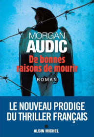 Title: De bonnes raisons de mourir, Author: Morgan Audic