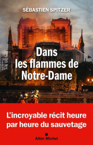 Title: Dans les flammes de Notre-Dame, Author: Sébastien Spitzer