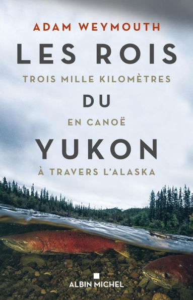 Les Rois du Yukon: Trois mille kilomètres en canoë à travers l Alaska