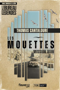 Ebooks free download for kindle Les Mouettes - Mission Iran 9782265159242