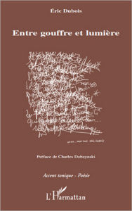 Title: Entre gouffre et lumière, Author: Eric Dubois