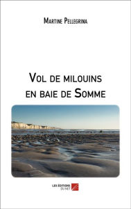 Title: Vol de milouins en baie de Somme, Author: Martine Pellegrina