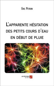 Title: L'apparente hésitation des petits cours d'eau en début de pluie, Author: Eric Petron