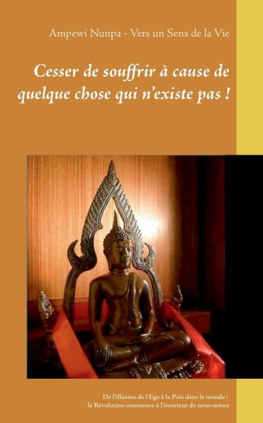 Cesser de souffrir à cause de quelque chose qui n'existe pas !: De l'illusion de l'Ego à la Paix dans le monde : la Révolution commence à l'intérieur de nous-même