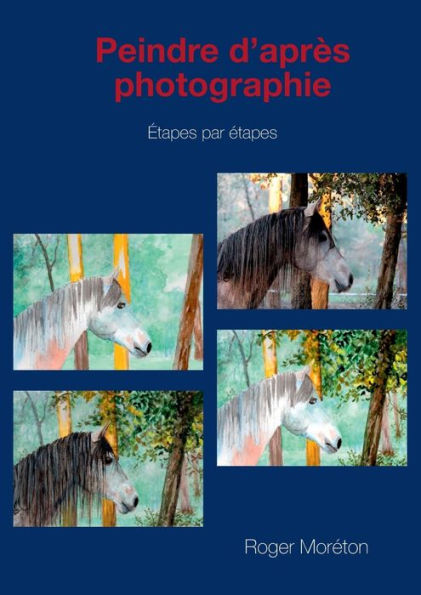 peindre d'après photographie