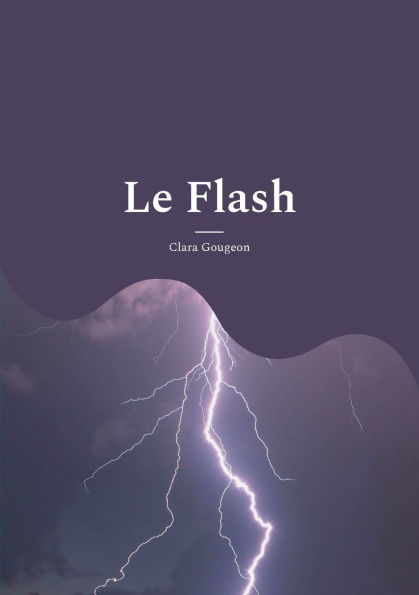 Le Flash: Recueil de poï¿½mes