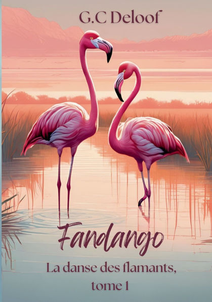 Fandango: La danse des flamands tome 1