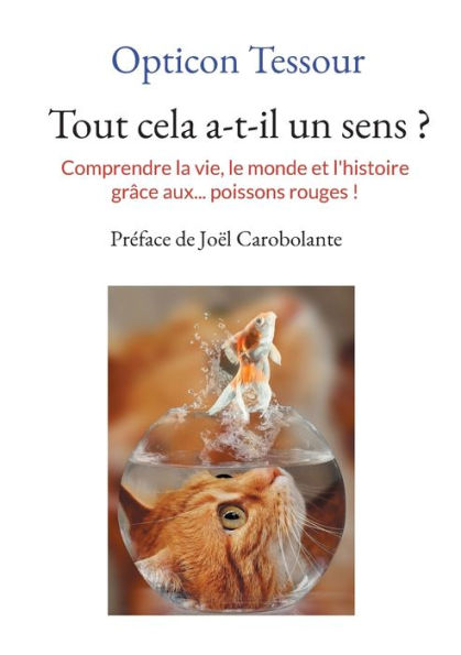 Tout cela a-t-il un sens ?: Comprendre la vie, le monde et l'histoire grâce aux... poissons rouges !