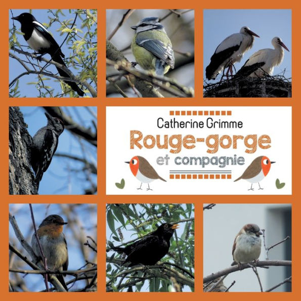 Rouge-gorge et compagnie: Fabulettes