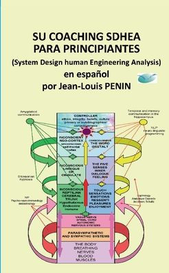 Su coaching SDHEA para principiantes: Coaching SDHEA